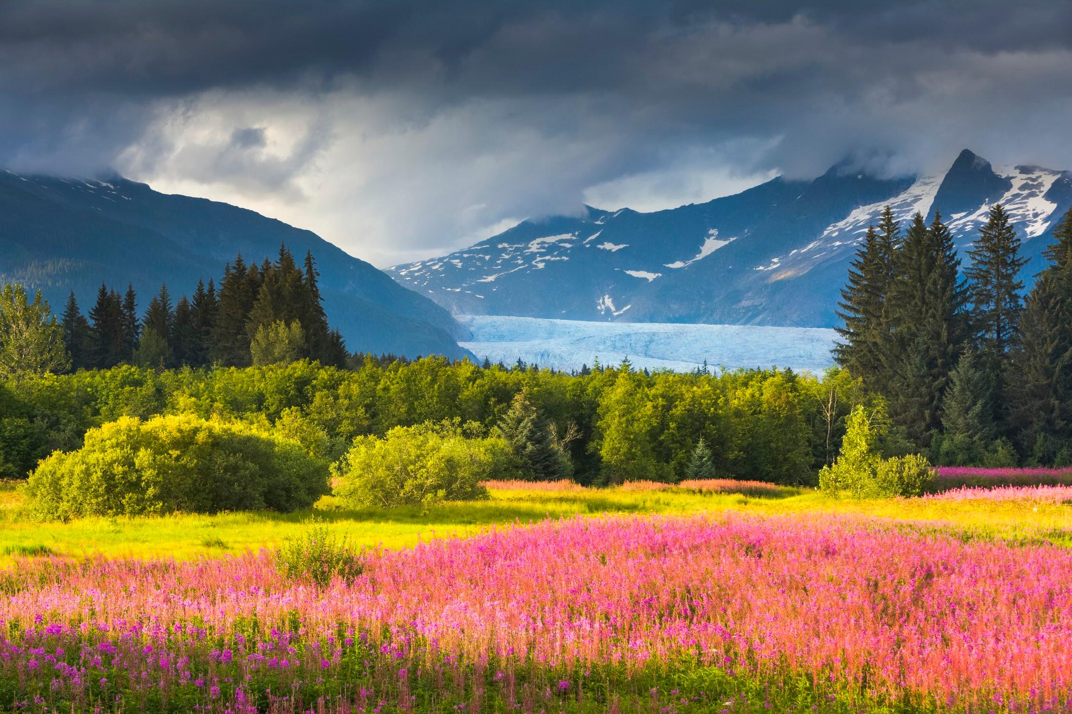 What Makes Alaska Shine So Brightly? An Insider Shares What’s Quirky and Captivating