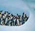 ANTARCTICA